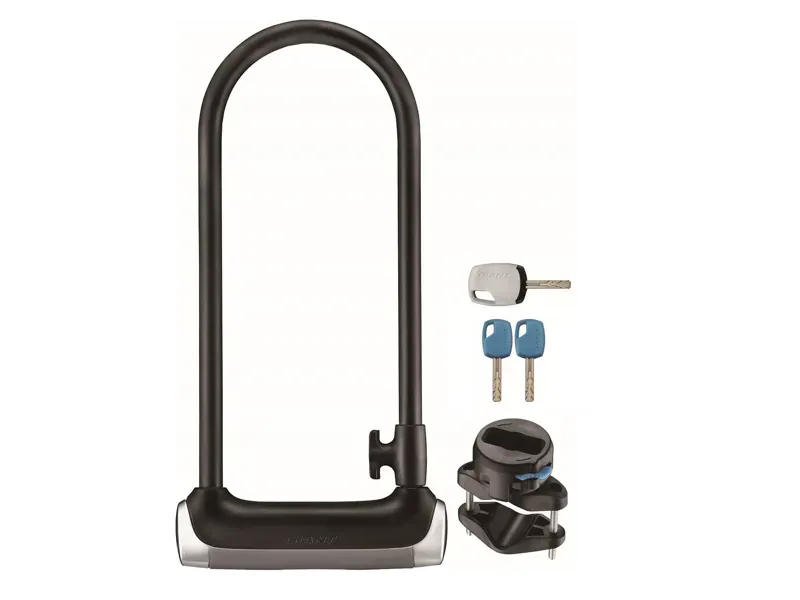 2020 Giant Surelock Protector 1 LS Black