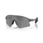 Oakley Stunt Devil Grey Smoke with Prizm Black Lenses