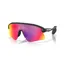 Oakley Stunt Devil Matte Black with Prizm Road Lenses