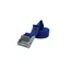 Phoenix Cam Strap Tie Down 2M x 25mm Blue