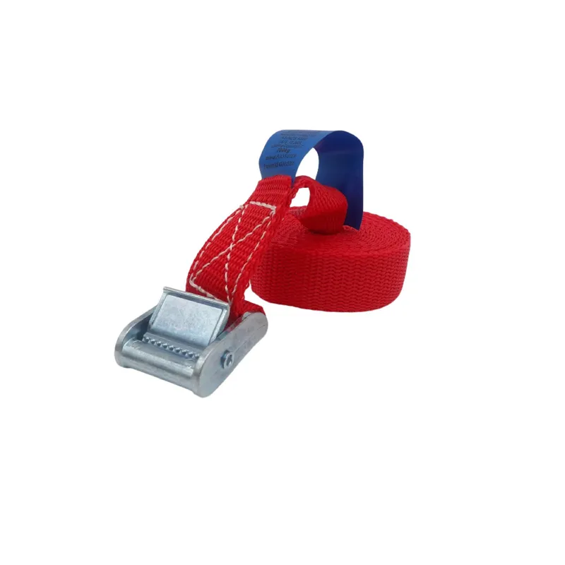 Phoenix Cam Strap Tie Down 2.5M x 25mm Red
