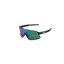 Giant Helio Glasses PolarVis Black Frame with PolarVis Lens