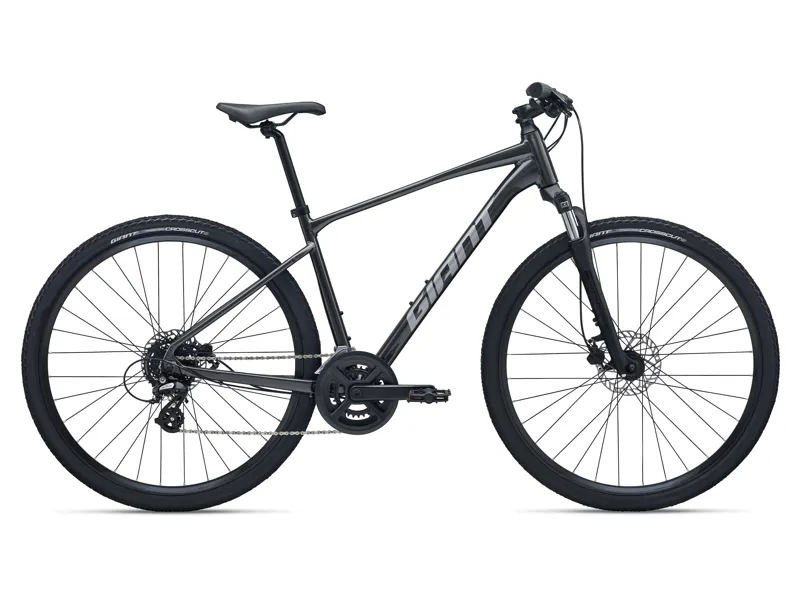 2026 Giant Roam 4 Stealth Chrome