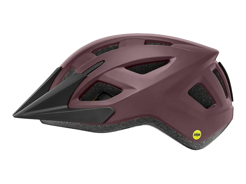 Liv Path Mips Helmet Matte Fig