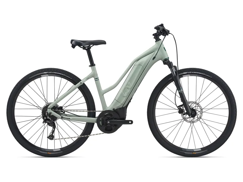 2022 Liv Rove E+ Hybrid E-Bike Laurel