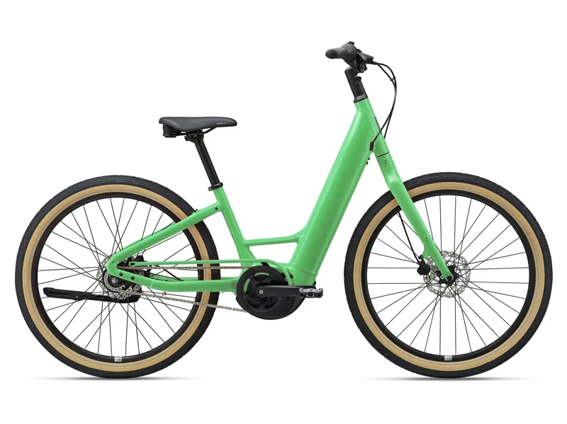 2022 Momentum Vida E+ Low -Step Large Happy Mint