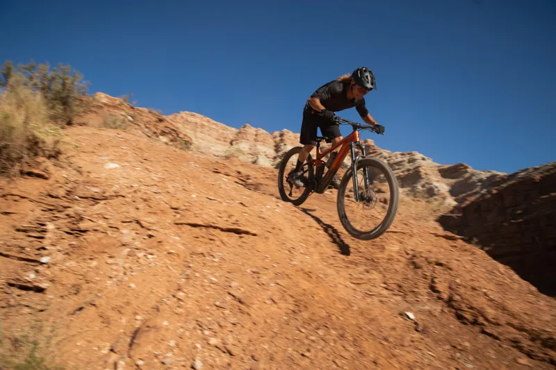 2023 Giant Trance X Advanced E + EL 2 Large Amber Glow/Cordovan-2