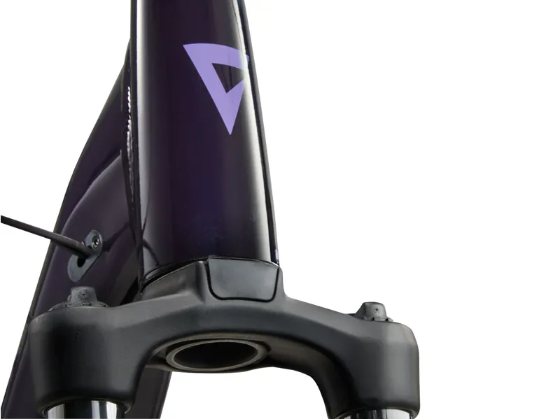 2024 Giant Expression E+ E-Bike Black Currant-6