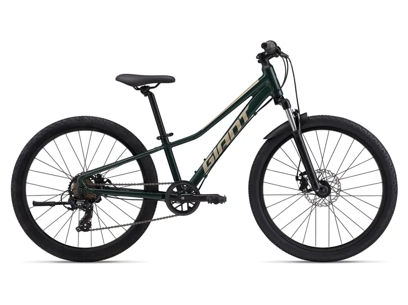 2024 Giant Talon 24 Disc Trekking Green