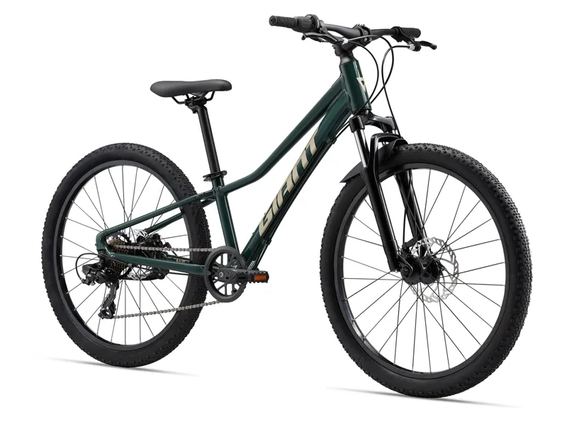 2024 Giant Talon 24 Disc Trekking Green-1