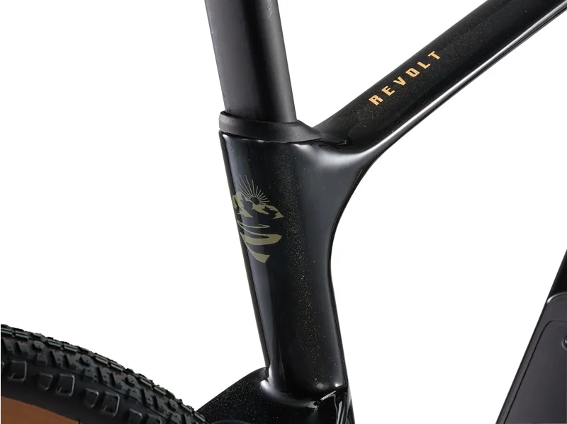 2025 Giant Revolt Advanced 3 Panther-4