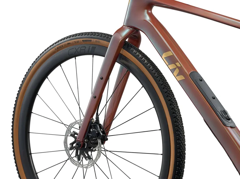 2026 Liv Devote Advanced Pro Nebula-5