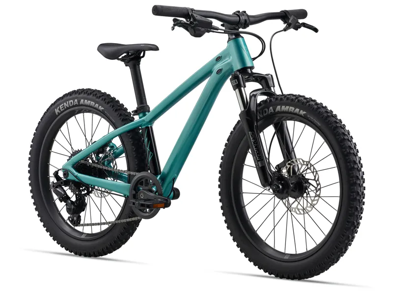 2026 Giant STP 20 FS Mountain Bike Teal-9