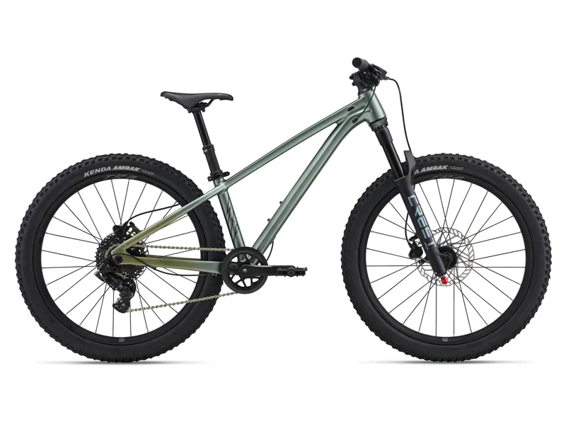 2026 Liv STP 24 Girls MTB Alpine Green