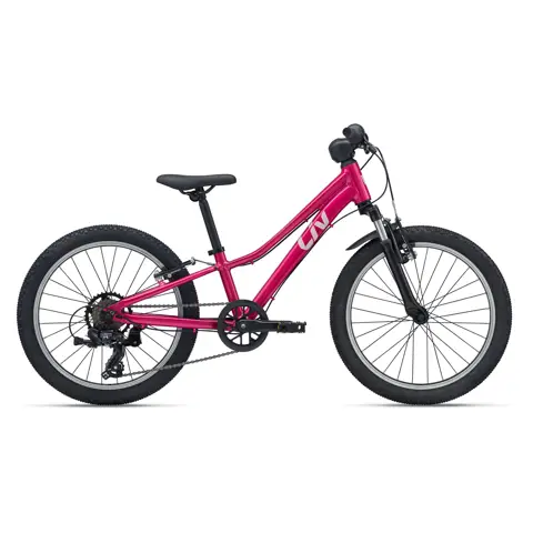 giant 20 inch bicycle XTC Jr C/B Children's Mountain Bike - 2021, One Size | Weight, Price, Specs, Geometry, Size Guide quality features Giant XtC Jr 20 Lite