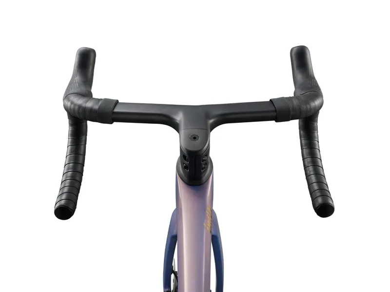 2027 Liv EnviLiv Advanced Pro 0 Di2 Ember Violet-5