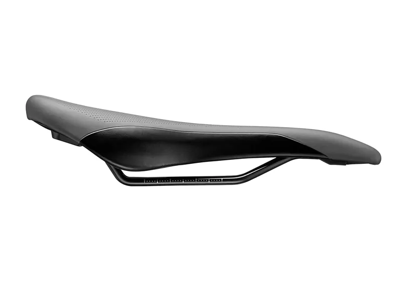 2020 Giant Romero Saddle in Black-1