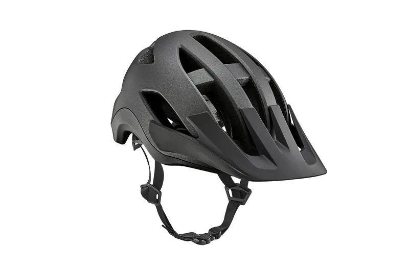 Giant Roost MIPS Matte Black Diamond