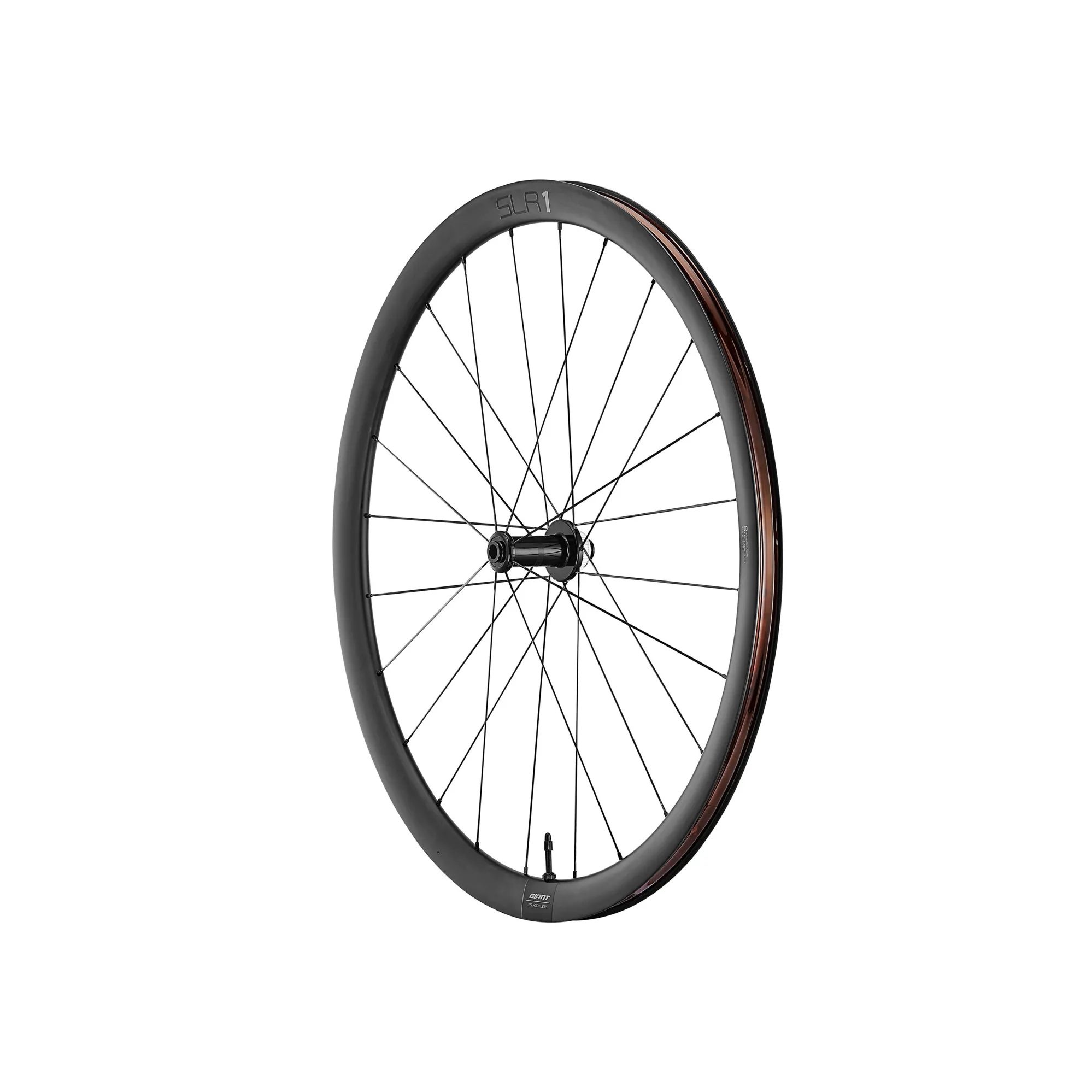 Giant Slr Giant Sl1 Disc Wheelset Giant SLR Aero 55mm Front Wheel