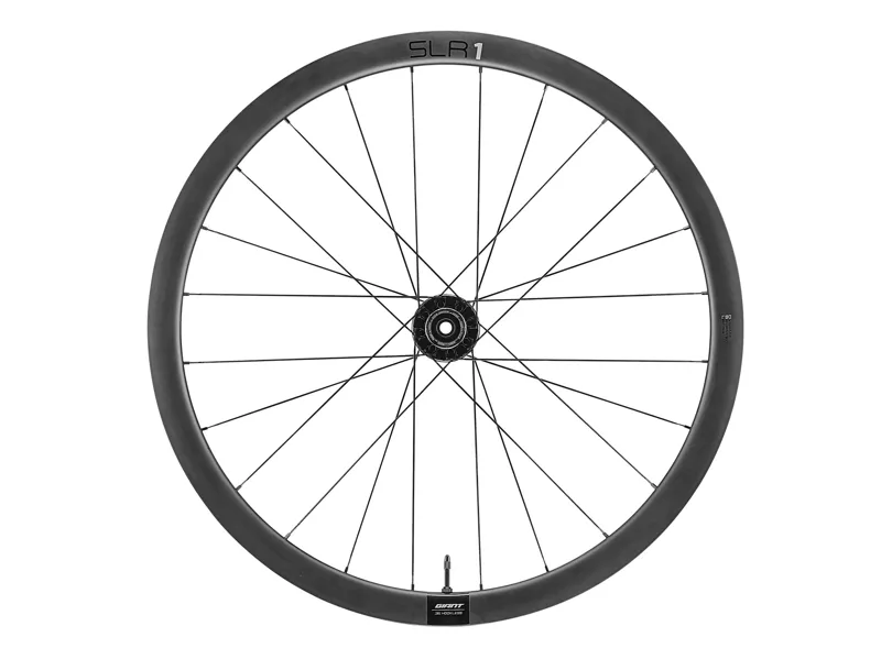 Giant SLR1 36 Tubeless Disc Brake Rear Wheel-1
