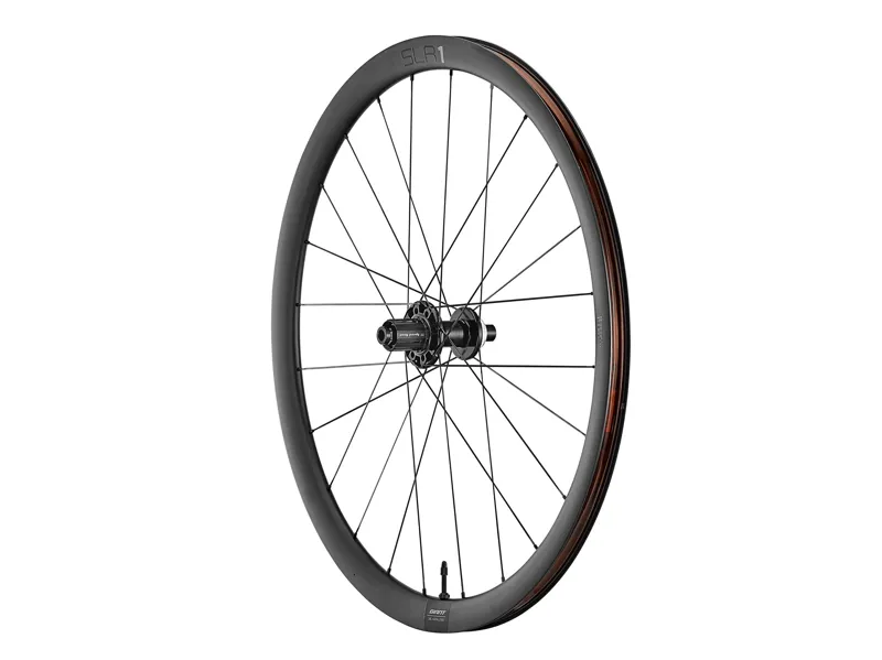 Giant SLR1 36 Tubeless Disc Brake Rear Wheel